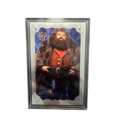 5g 999 Pures Gold Agoro Harry Potter 25 Years of Magic 8 Card Full Set Silver + Gold Cards 100/150